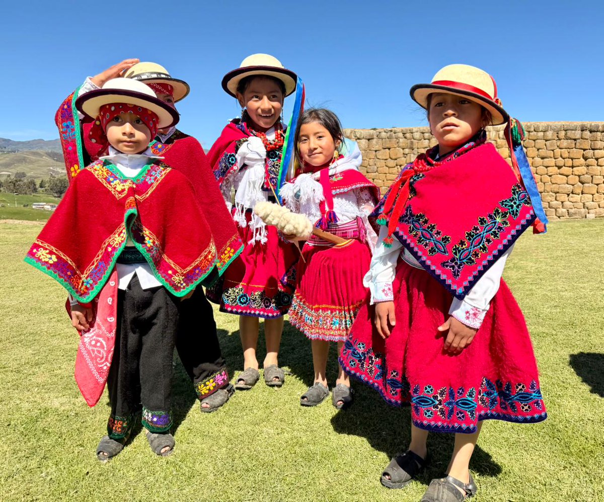 Elecaustro tweet media