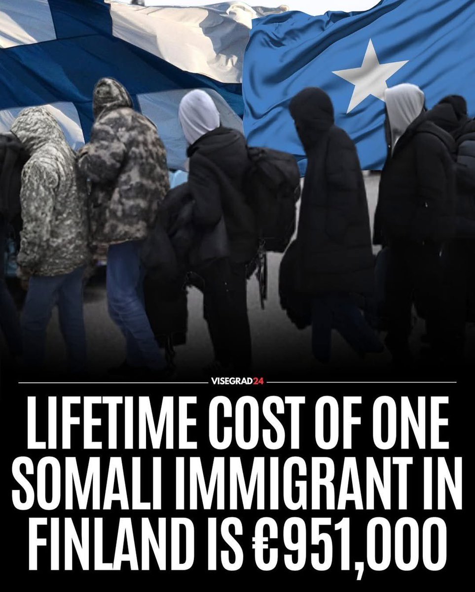 Visegrád 24 tweet media