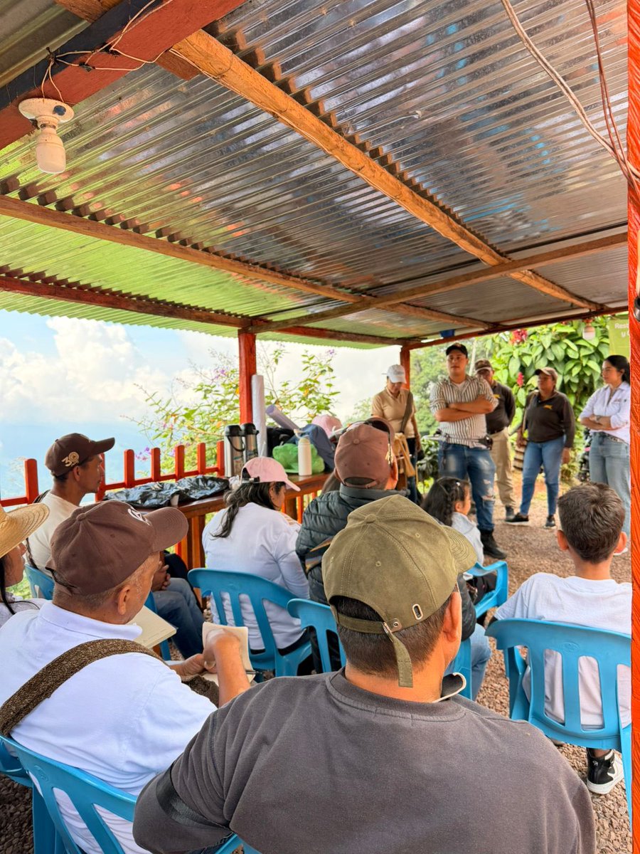 Corpocesar tweet media