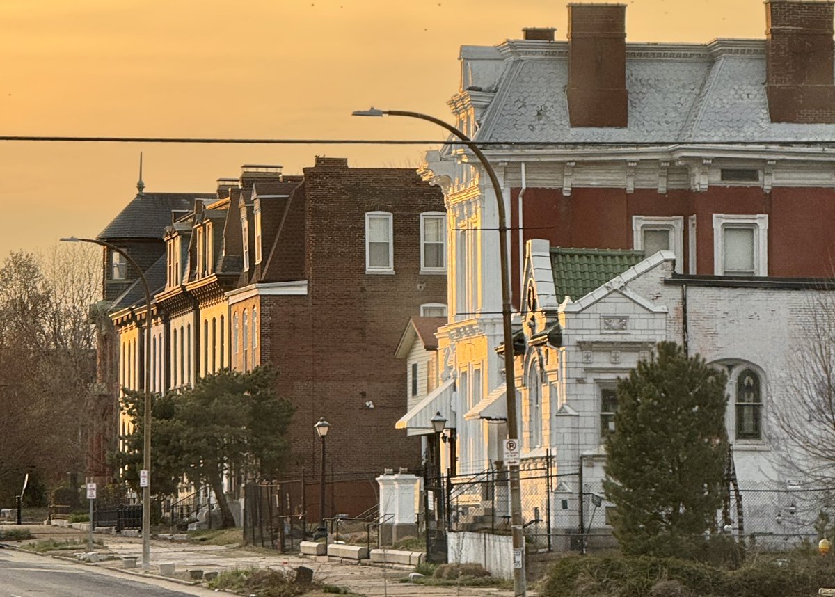 Chicken Joe 🐔 tweet media