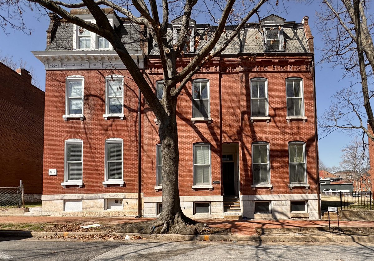 Chicken Joe 🐔 tweet media