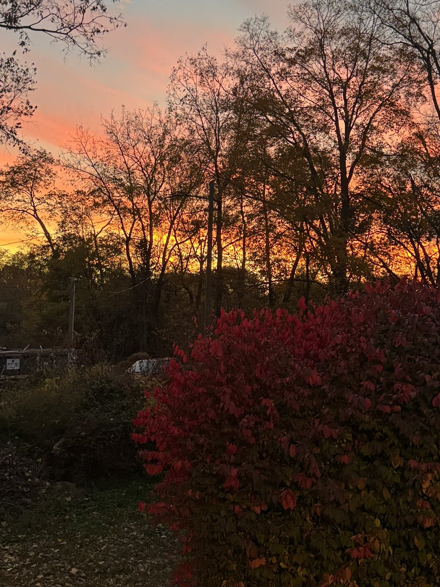 gena74366's tweet photo. Remember to enjoy the little moments. Take a step back breathe and take care of yourself. This is what truly counts https://t.co/aEswLWboWd