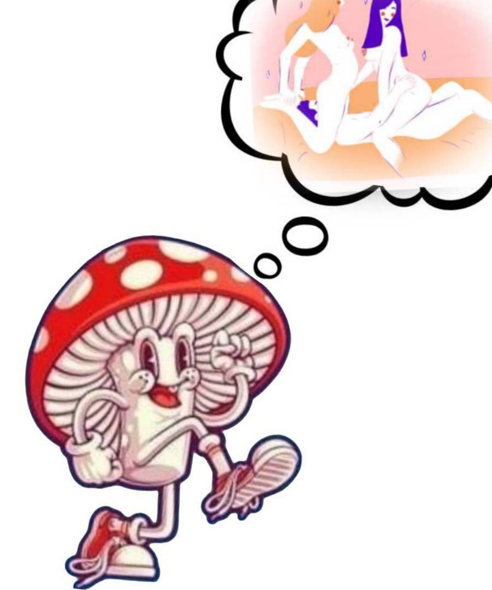 🍄El Champin 𝕏🍄 tweet media