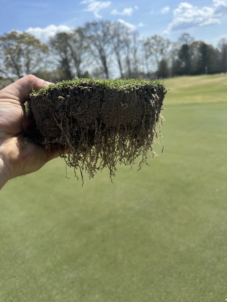 Brad Driggers tweet media