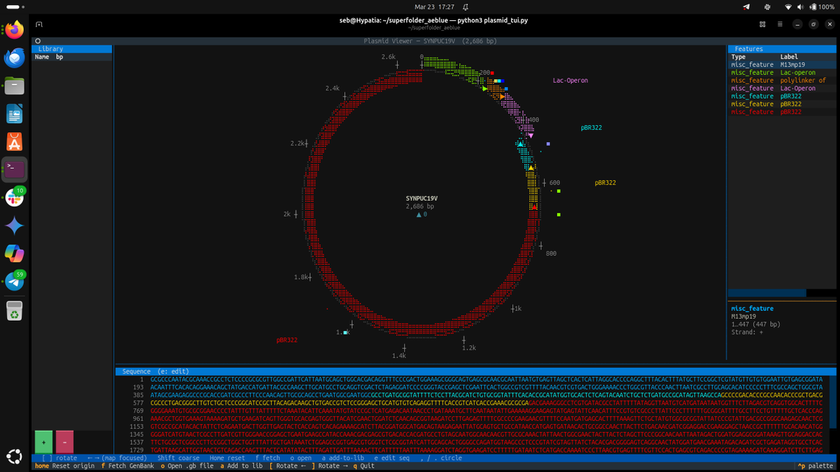 Sebastian S. Cocioba🪄🌷 tweet media