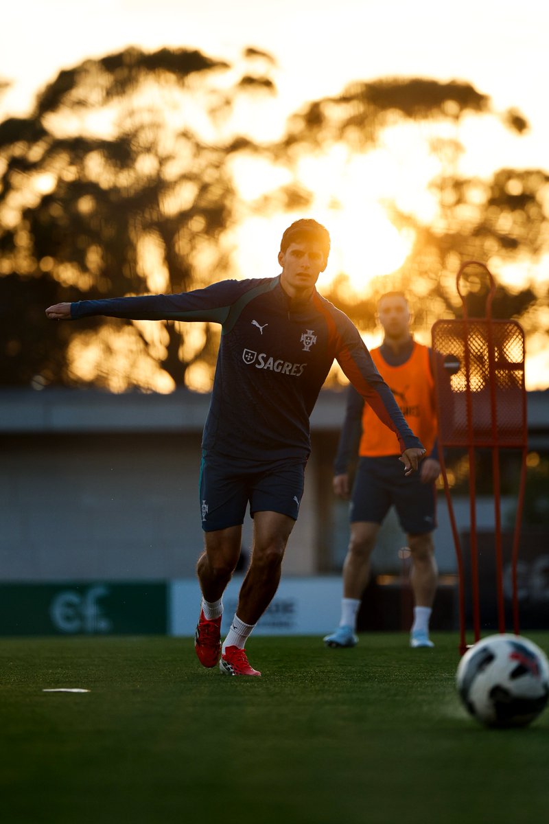 Portugal tweet media