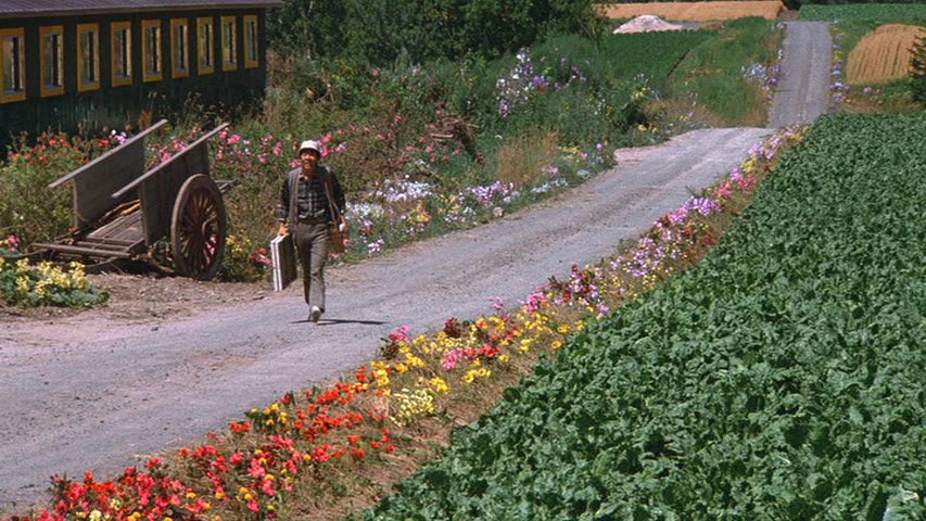 At the Cinema tweet media