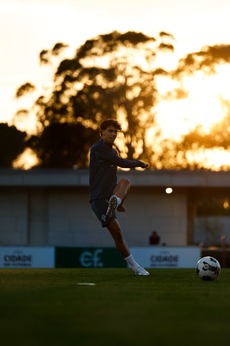 Portugal tweet media