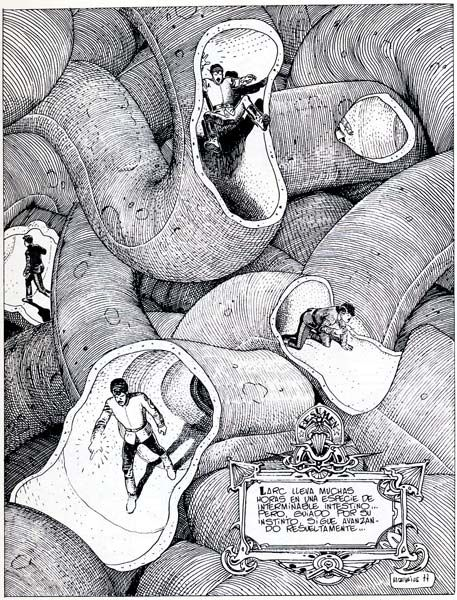 La vida en viñetas tweet media