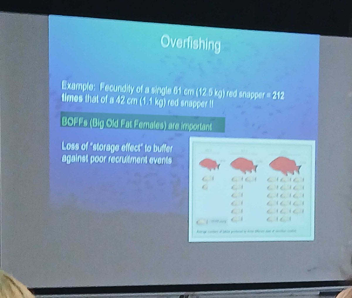 Ignoramus ✰ tweet media