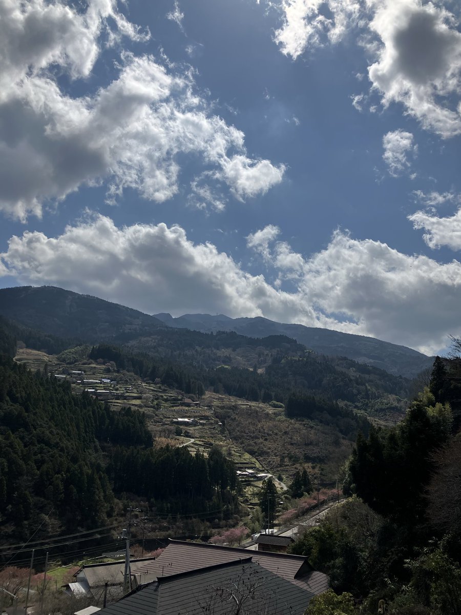 パプリカからのお知らせ☘️

桜も種類によっては、満開だったり、まだ蕾だったり、もう散ってたり、
儚く美しいですね...
写真は大豊町の月曜日の写真✨
こんな大きな桜の下でお花見したいです🌸
今週の28日土曜日はりょうたくんと入ります^ ^
もしよかったら来てね〜