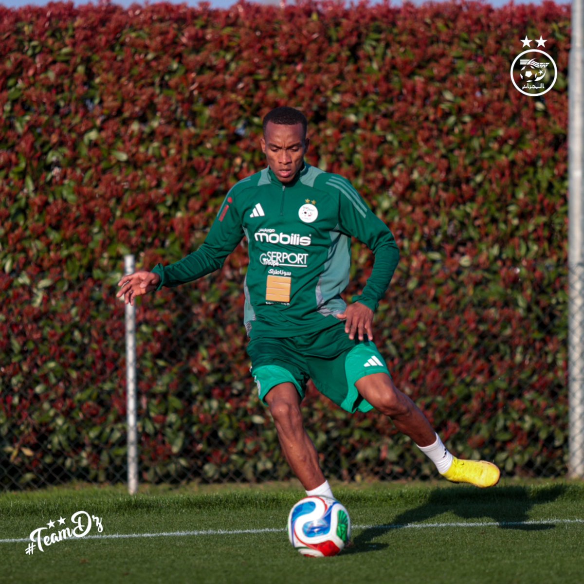 Équipe d'Algérie de football tweet media