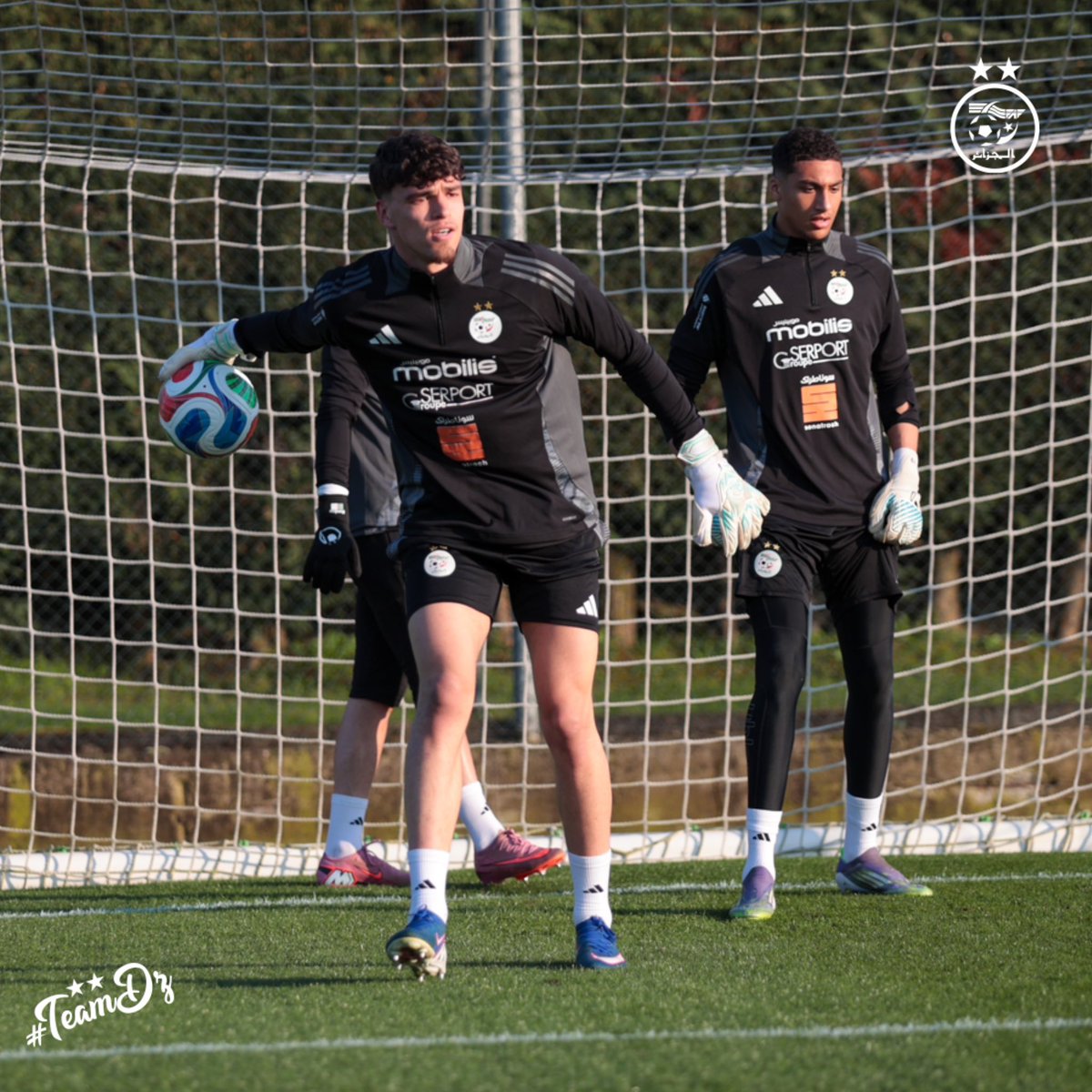 Équipe d'Algérie de football tweet media