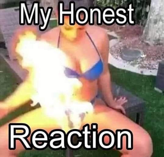 iise 🐈‍⬛ tweet media