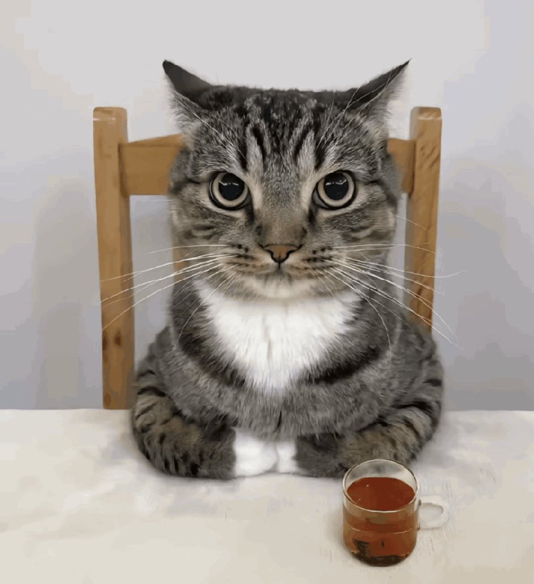 oznat COMMS OPEN tweet media