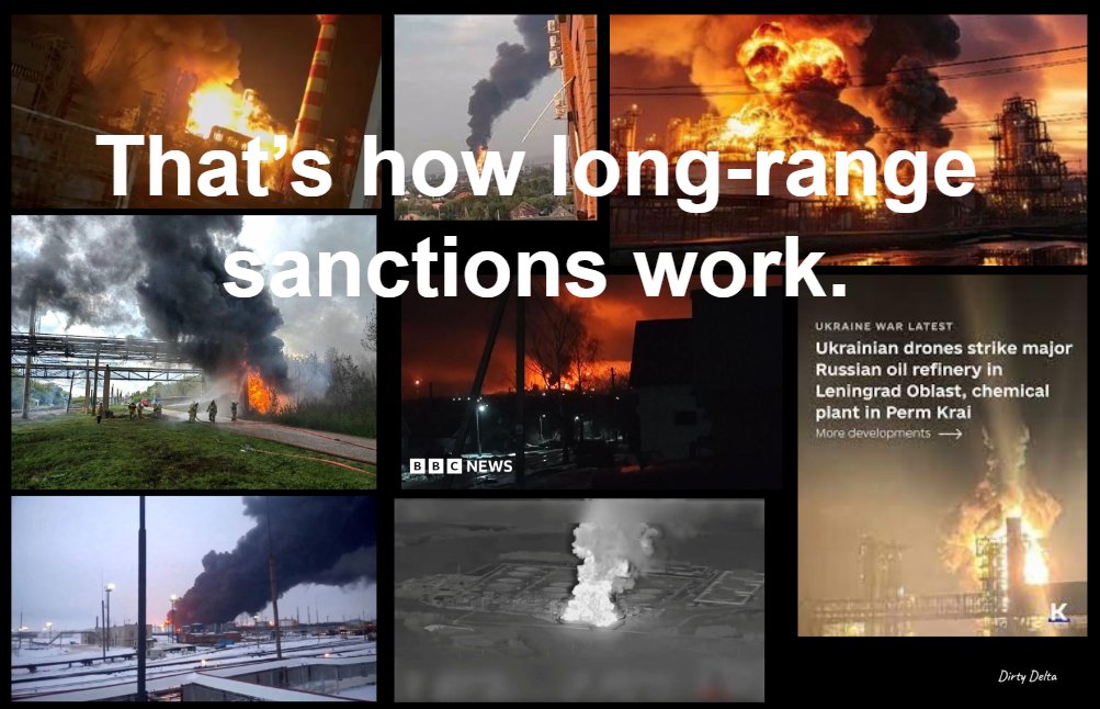 Scout Fella 🇺🇦 tweet media