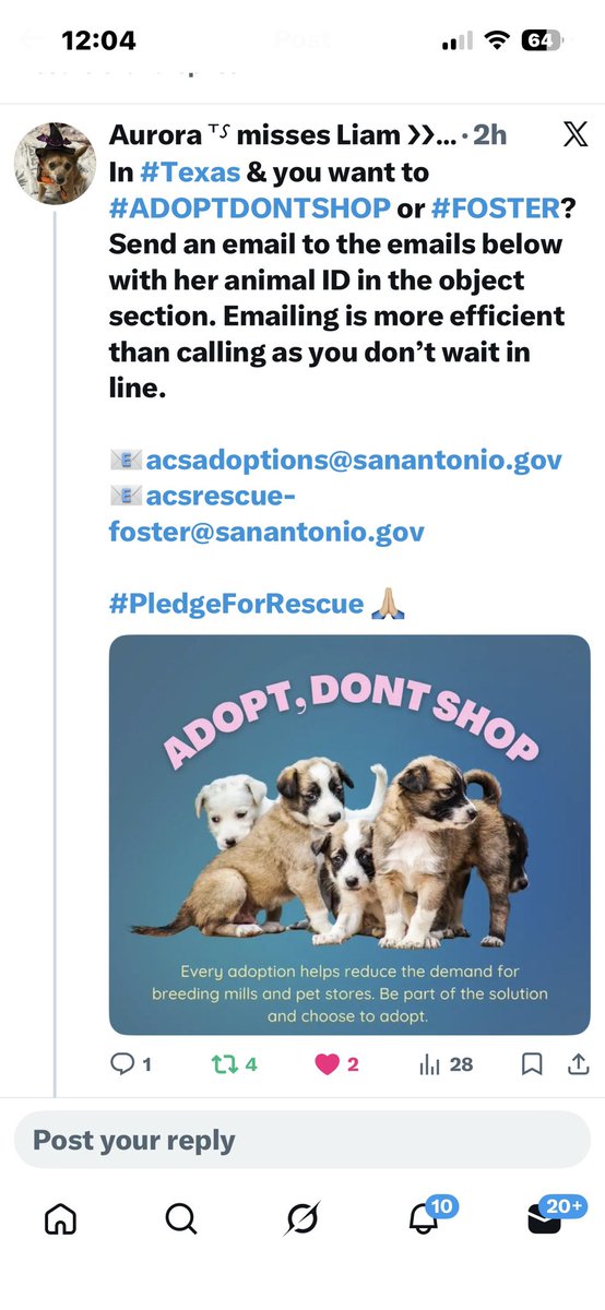 Marsha Coogan tweet media