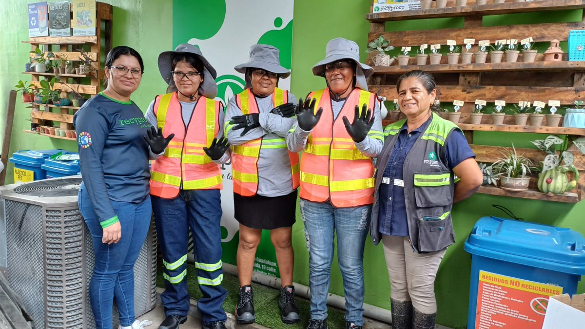 WWF Mesoamérica tweet media