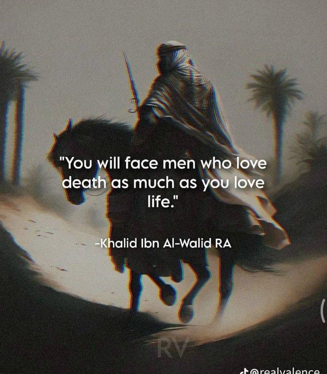 Shamz Tabrizi tweet media