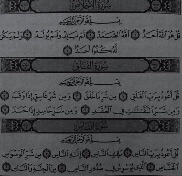 Voices from paradise tweet media