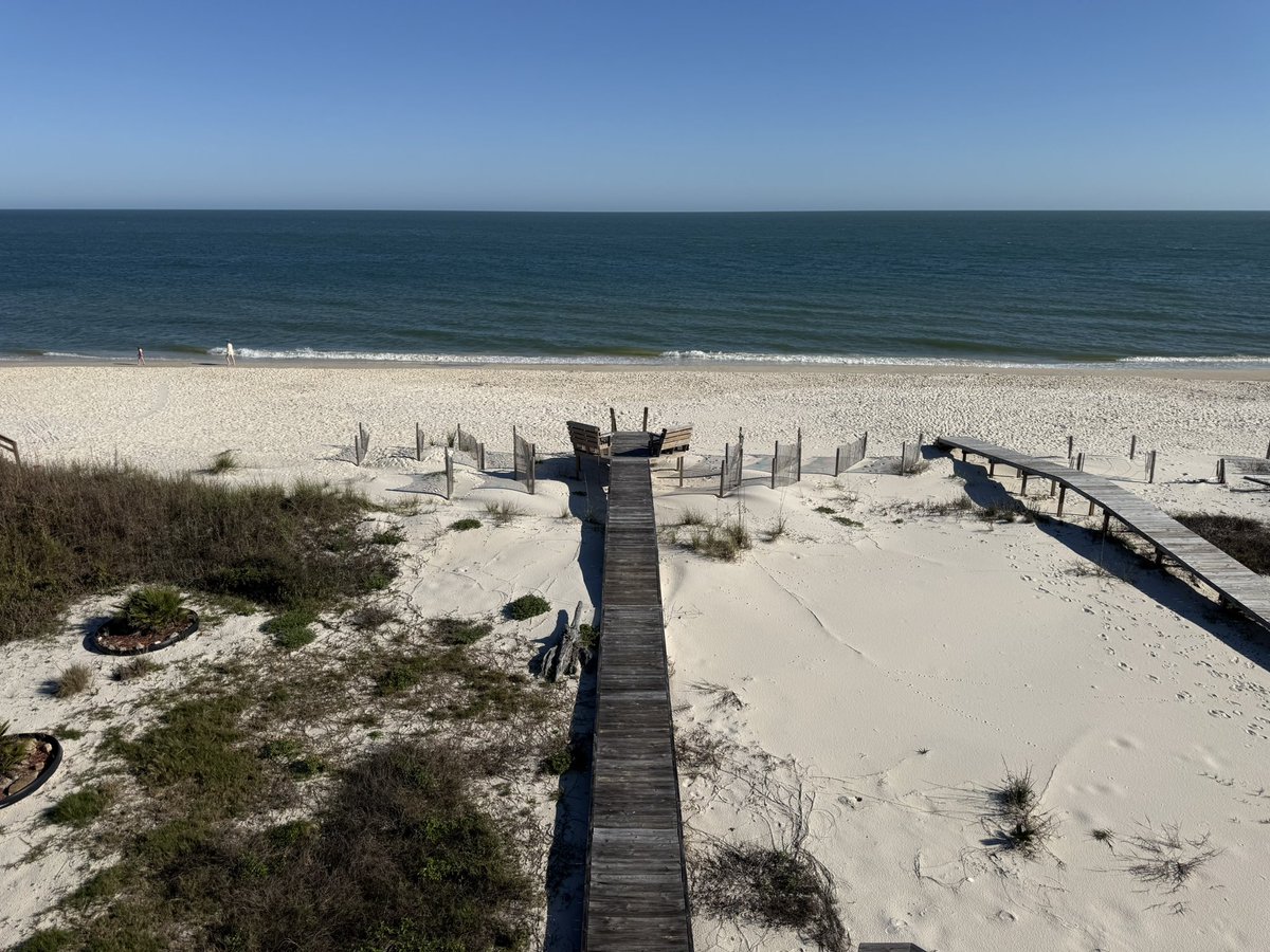 Scott McClellan tweet media