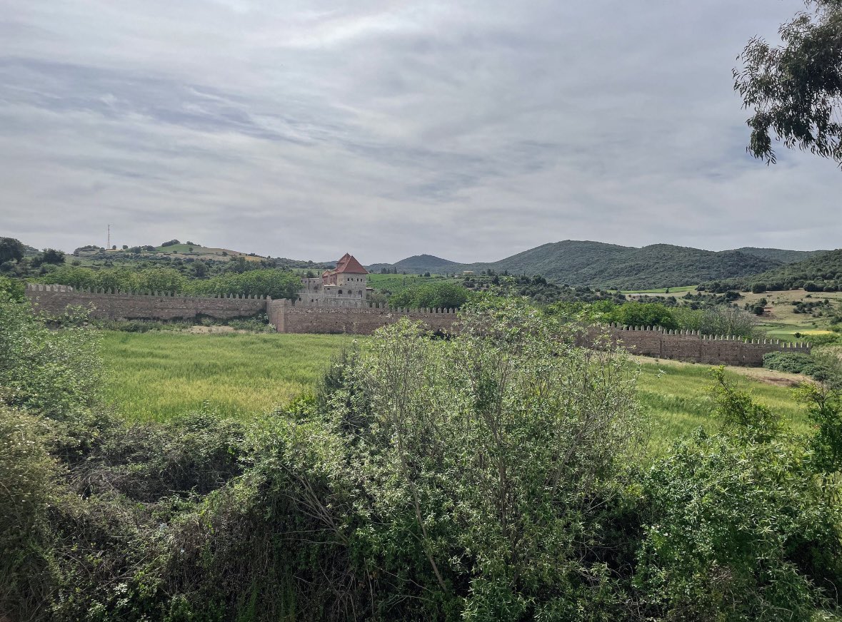 Abdul-Mumin ben Ali tweet media