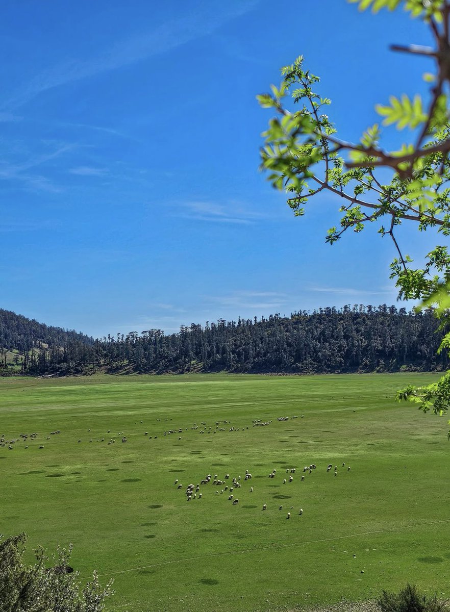 Abdul-Mumin ben Ali tweet media