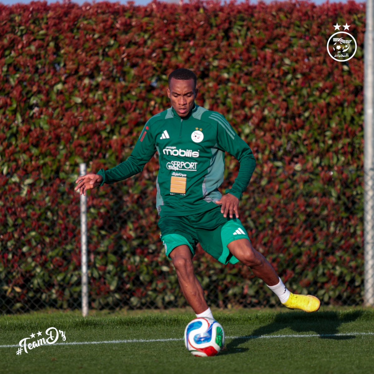 Nous aussi, on a un Achraf, les frères, et celui-là, il est terrible 😤🇩🇿