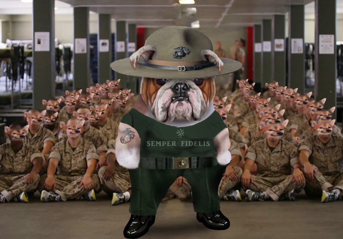 Fembot Fellarina tweet media