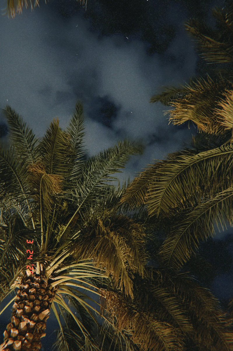 هديل🕊 tweet media