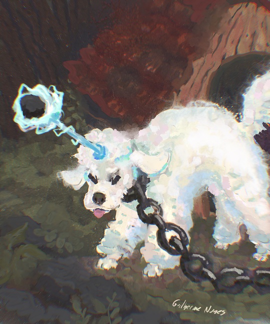 Guilherme Nunes tweet media