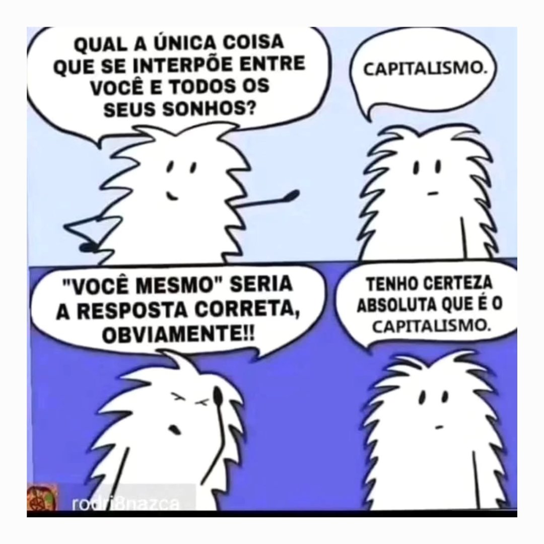 Boitempo tweet media