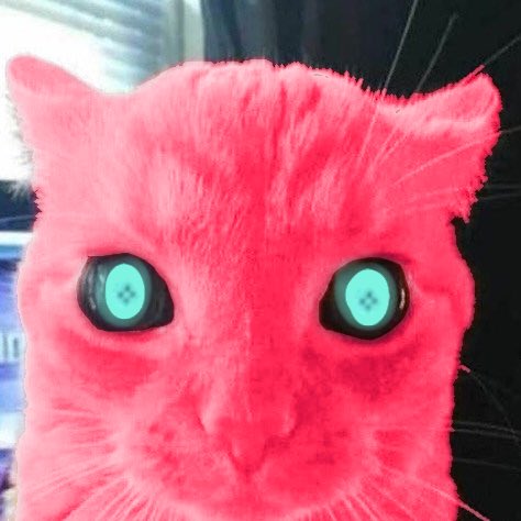 🇹🇹 Geezaws🗽 tweet media