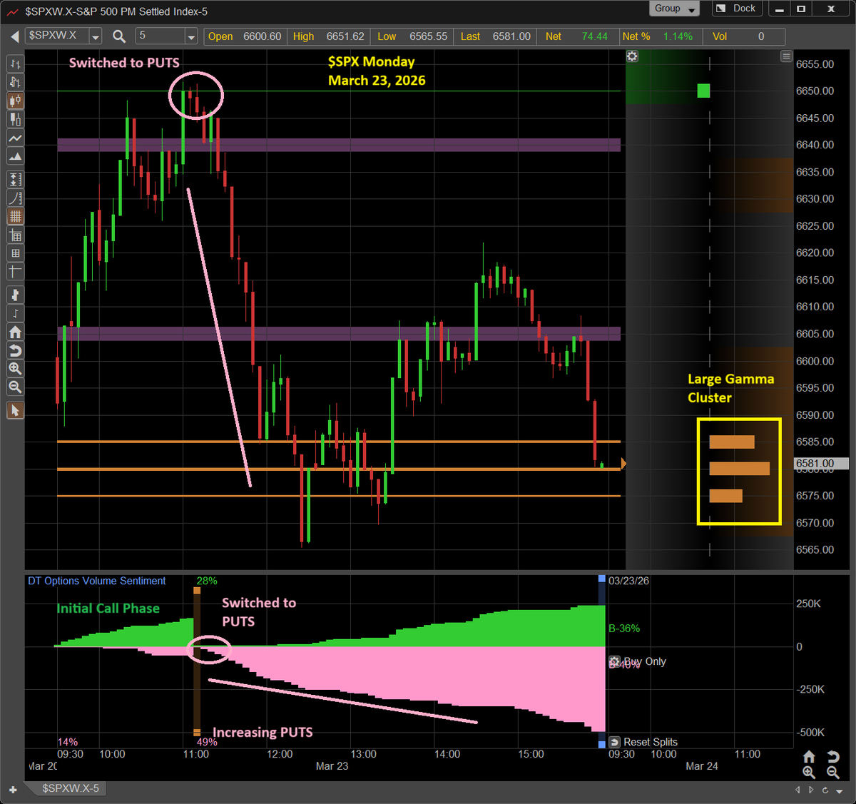 Dynamic Trend tweet media