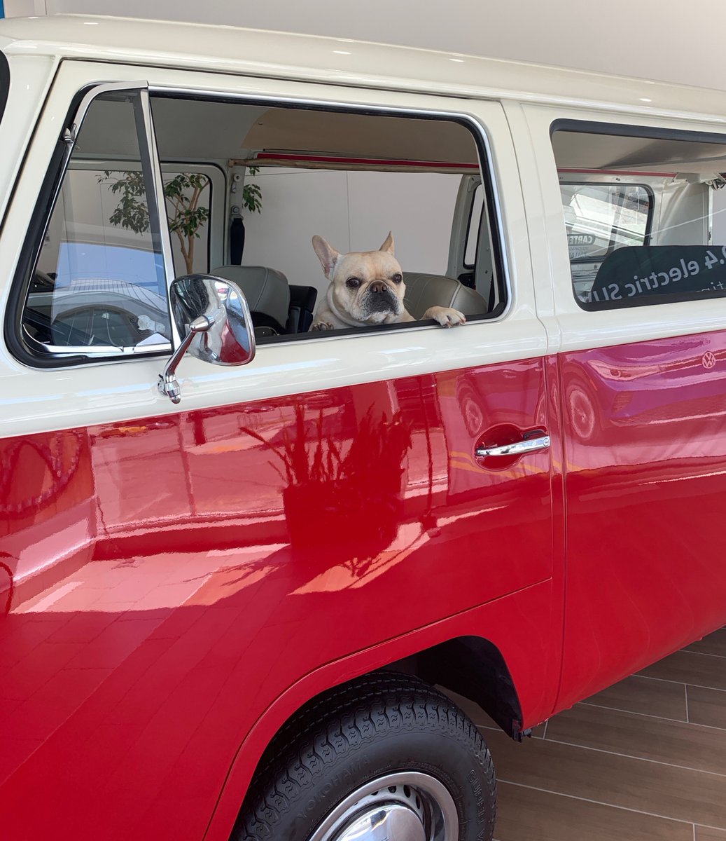 Carter VW tweet media