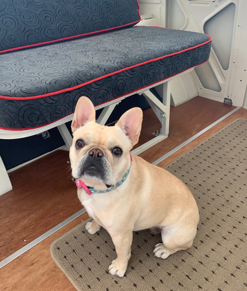 Carter VW tweet media