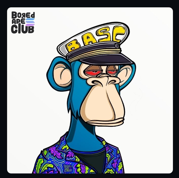 Sol_raidr tweet media