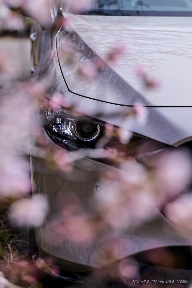 コウジ tweet media