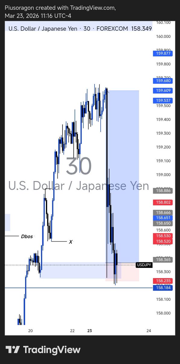 pius 🧃 tweet media