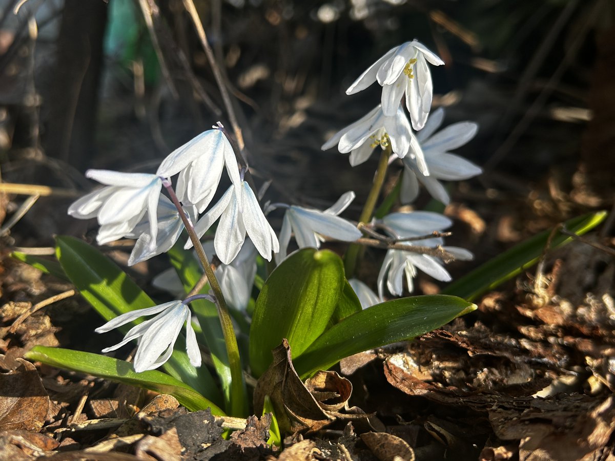 ヤマガタIT910 tweet media