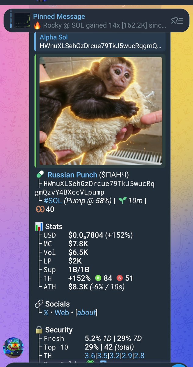 solempirez's tweet photo. Gamble wisely on $
HWnuXLSehGzDrcue79TkJ5wucRqgmQzvY4BXccVLpump
#SolanaBuilders #memecoin #Memecoins #CryptoScamHelp #Alphacalls https://t.co/Cb9rDVT4Ha