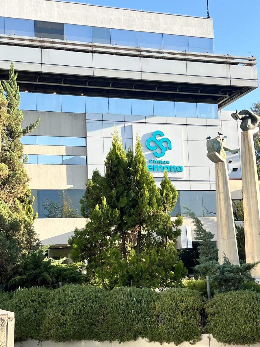 Carito 🐾 tweet media