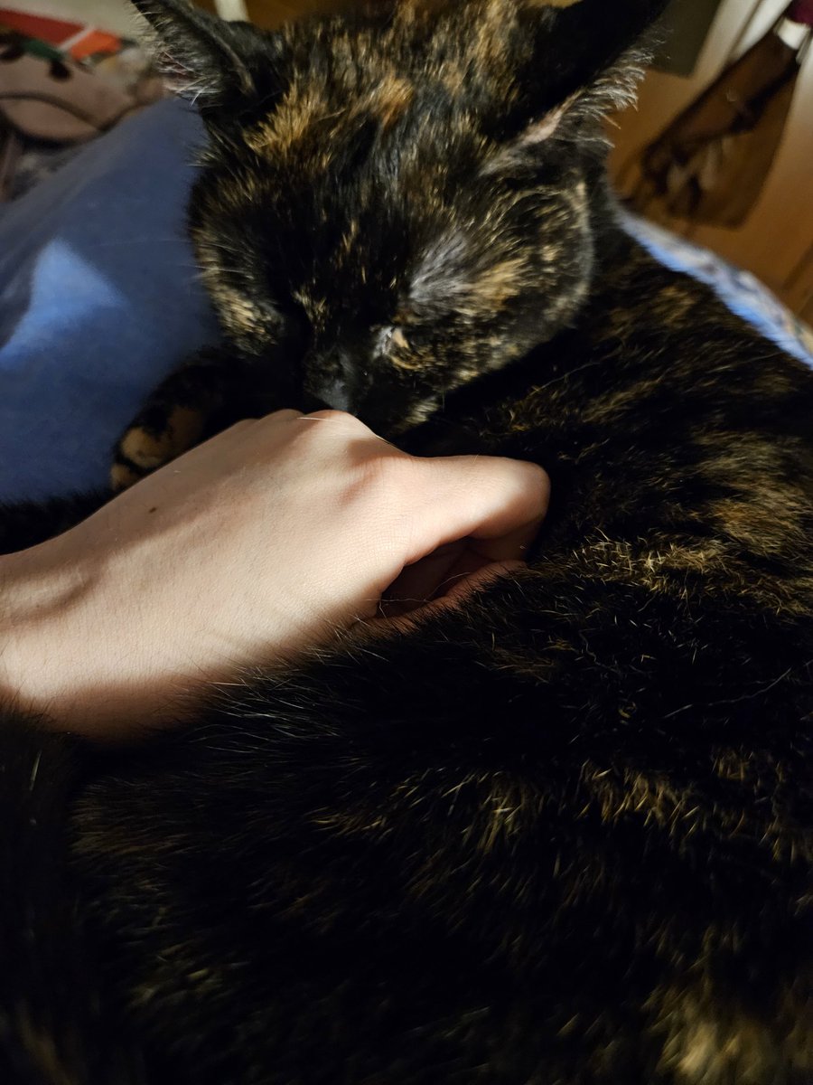 Shroomie the Euphie🔞 tweet media