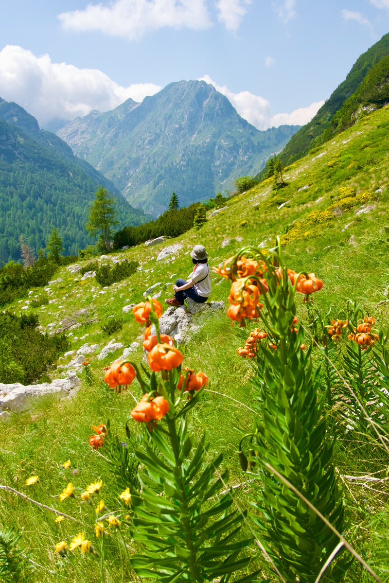 Exploring Slovenia tweet media