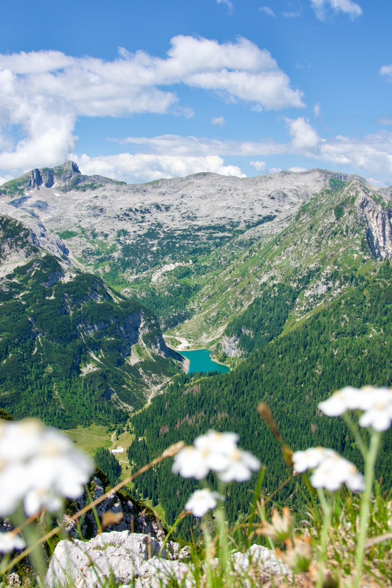 Exploring Slovenia tweet media