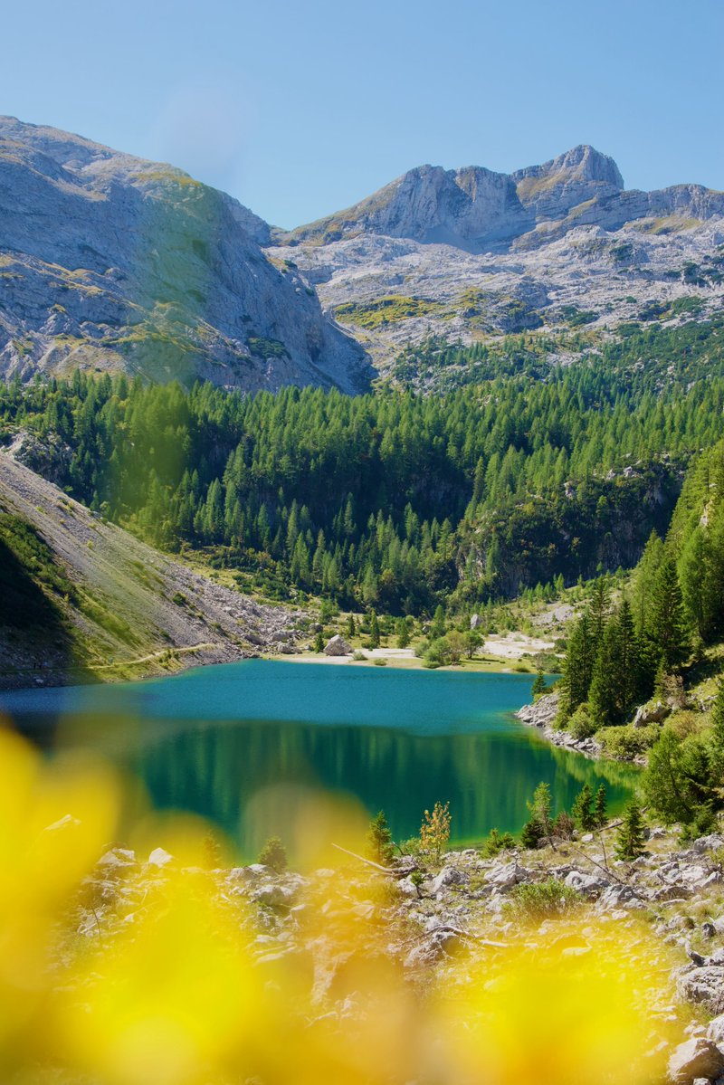 Exploring Slovenia tweet media