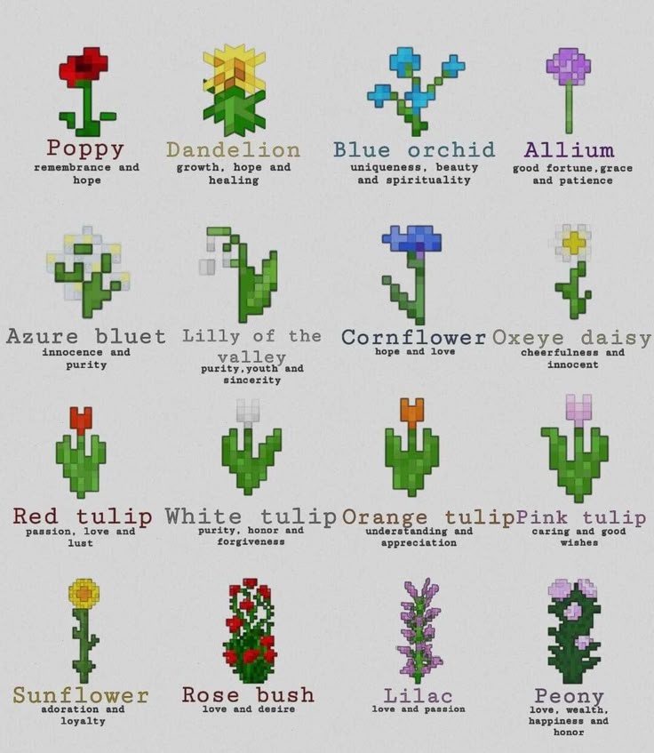 seo | ENHYPEN IS 7 tweet media