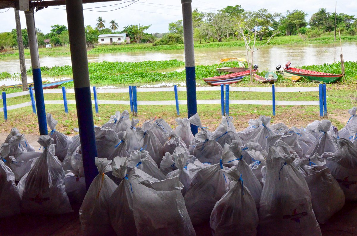 UNGRD's tweet photo. ¡Llegamos a las zonas rurales de Córdoba con asistencia humanitaria!

#AEstaHora | En zona rural del municipio de Ayapel se entregan 500 kits humanitarios del @MinIgualdad_Col y su programa 'Hambre Cero', con el apoyo de la alcaldía y bajo la articulación de la UNGRD.

En lancha llegamos a nueve veredas damnificadas por el frente frío: Mata de Caña, Los Negritos, Barandilla, Barcelona, El Cuchillo, Las Marías, Santa Elena, Caracolí y La Balsa. 

Cada kit pesa 25 kg e incluye alimentos y artículos de aseo.

#GestiónQueDaConfianza