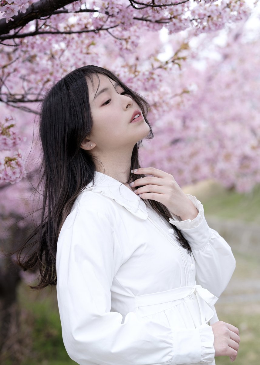 白河ももな tweet media