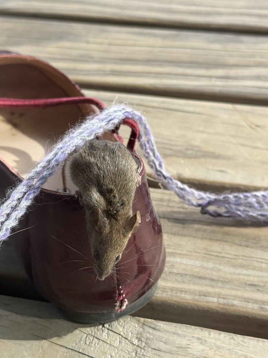 Dan Waterfield tweet media